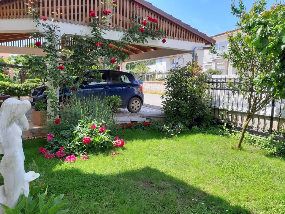 Garden, Garden view, Street view