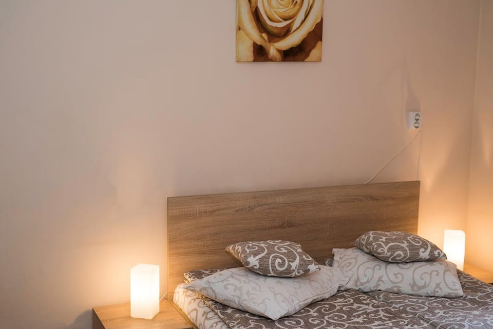 Pensiunea Miorita Arad Bed and Breakfast in Timiș County