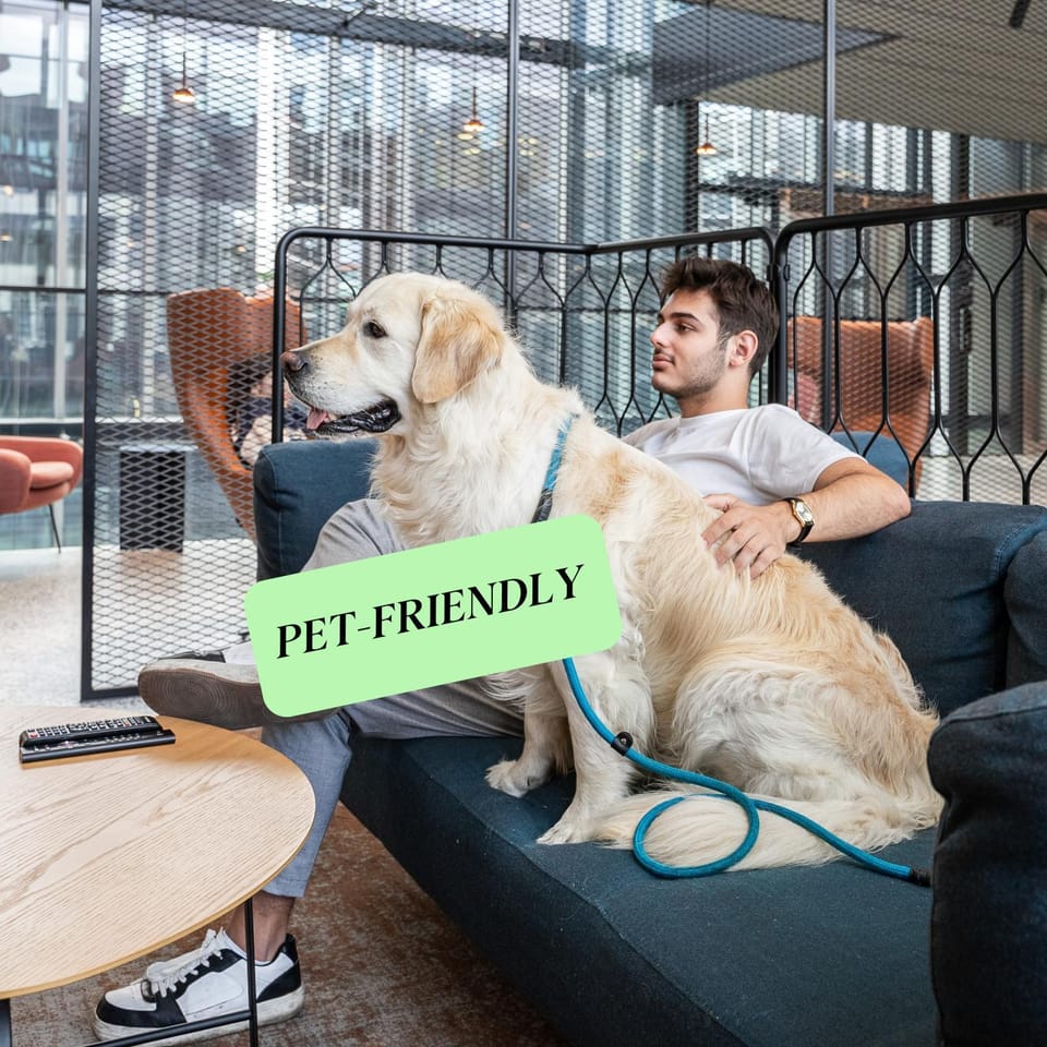 Communal lounge/ TV room, pet friendly