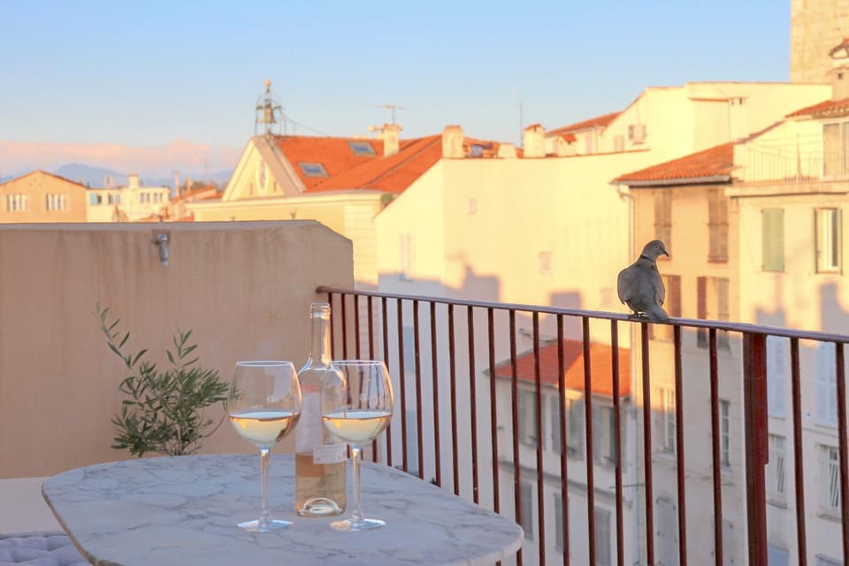 CLT - UNIQUE Duplex & Terrace on the Provencal market Apartment in Antibes