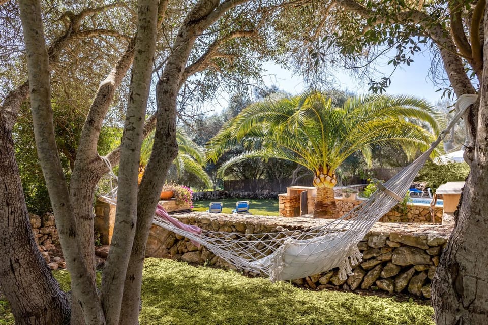 Patio, Garden, Garden view