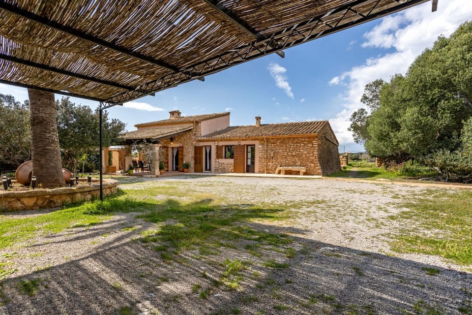 Patio, Garden, Garden view