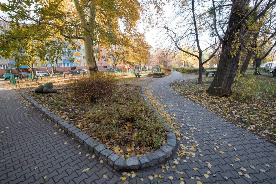 Off site, Day, Activities, Other, Autumn, Street view, Location