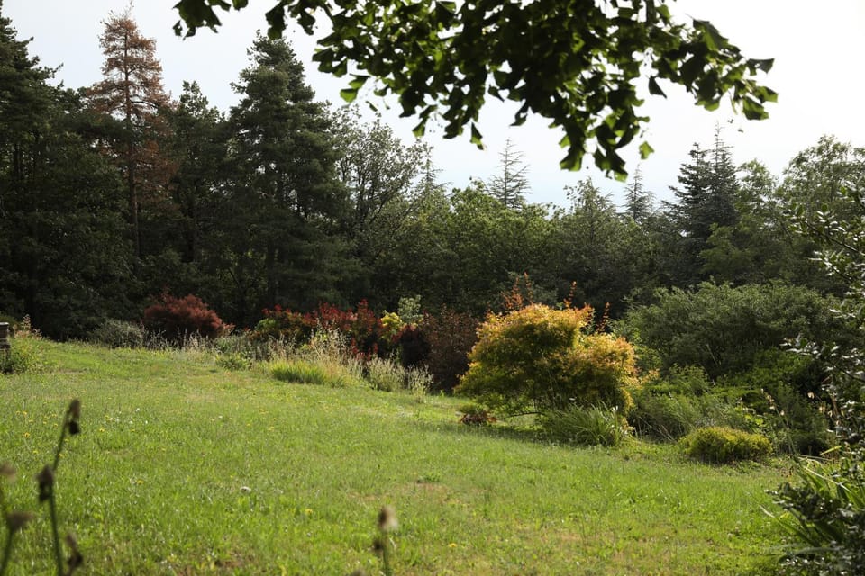 Villa Rouvesol Bed and Breakfast in Provence