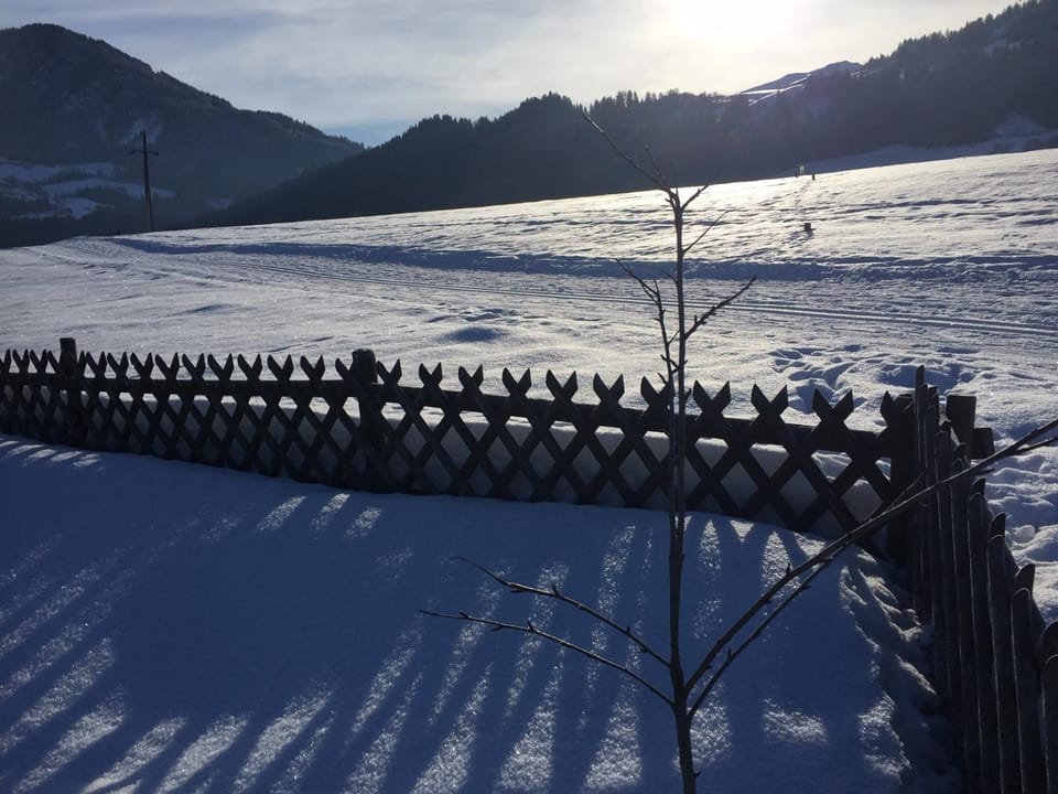 Winter, Skiing