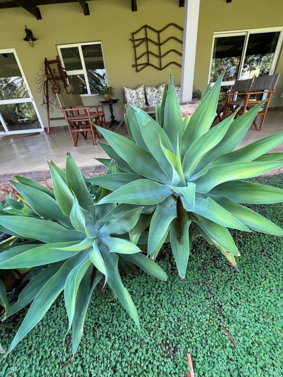 Ploughman’s Rest Farm Stay in South Africa