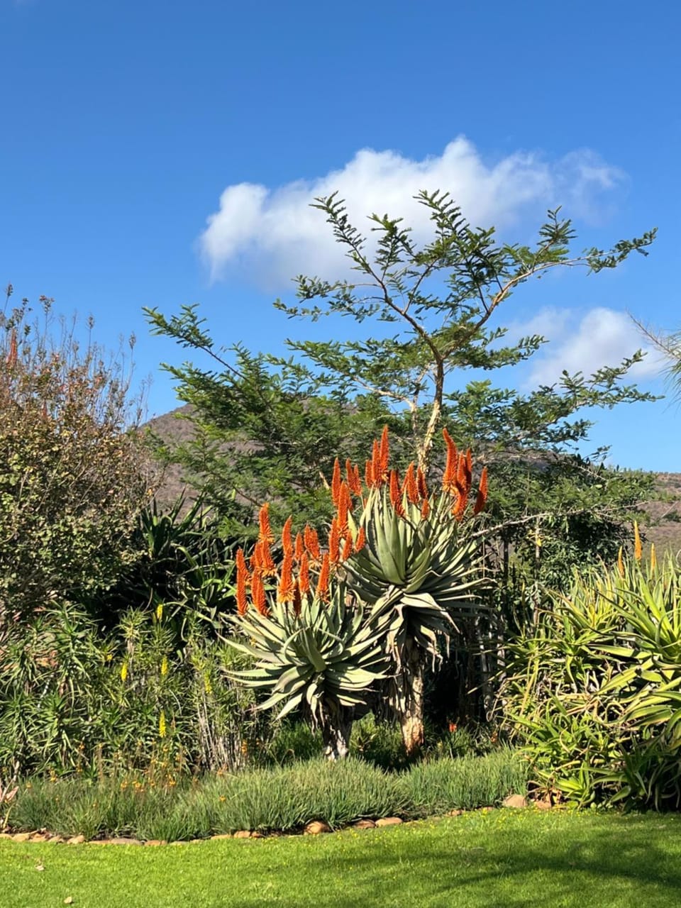 Ploughman’s Rest Farm Stay in South Africa