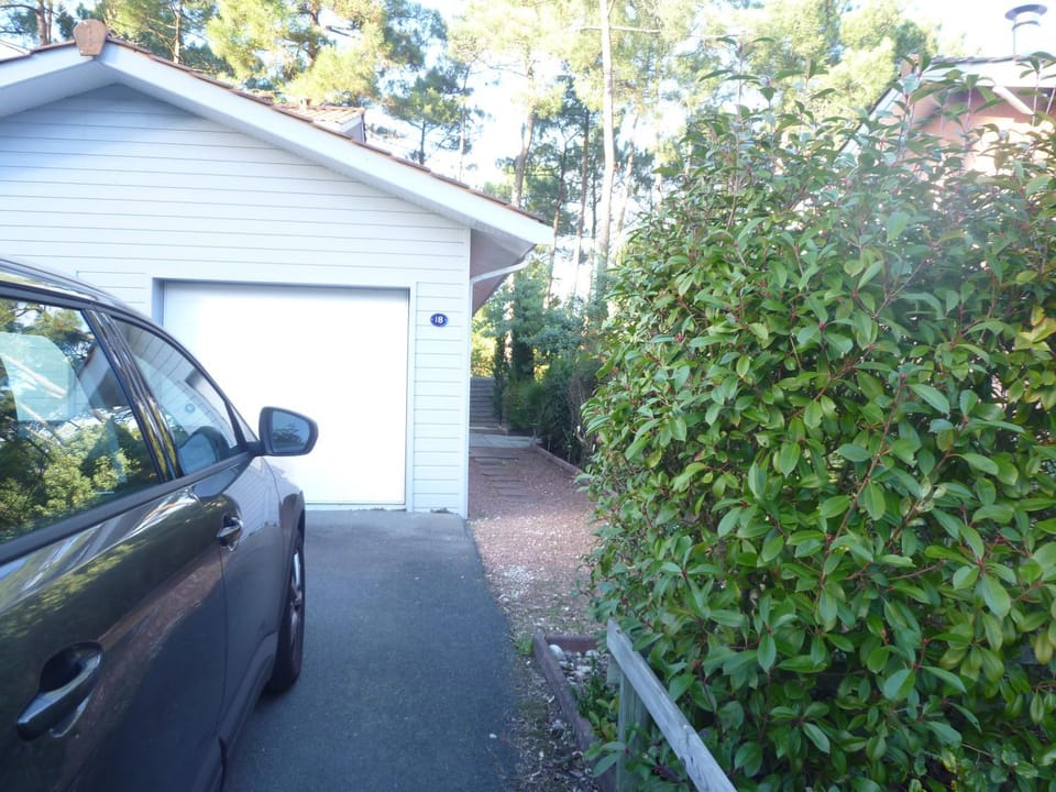 Facade/entrance, Garden view