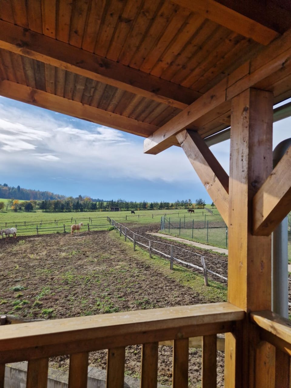 Natural landscape, Garden view