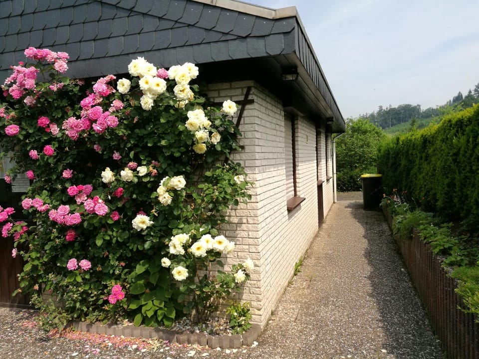 Ferienhaus Bianca House in Hochsauerlandkreis