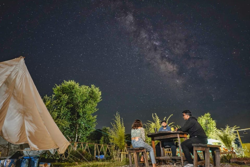 Night, People, Garden