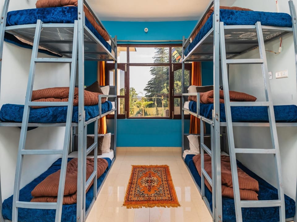 Bed, View (from property/room), bunk bed