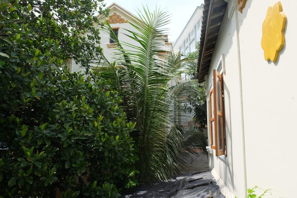 Garden view