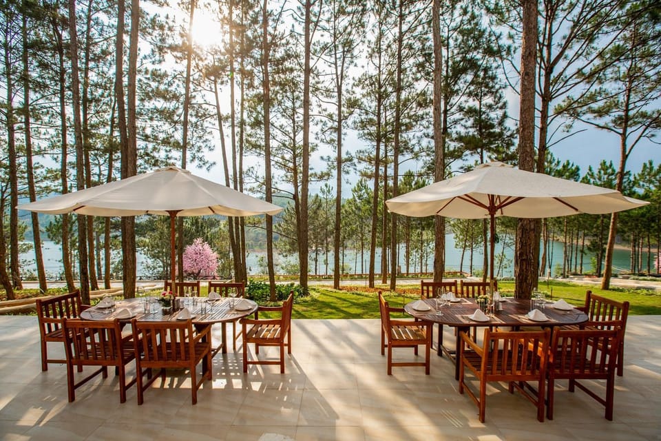 Patio, Garden