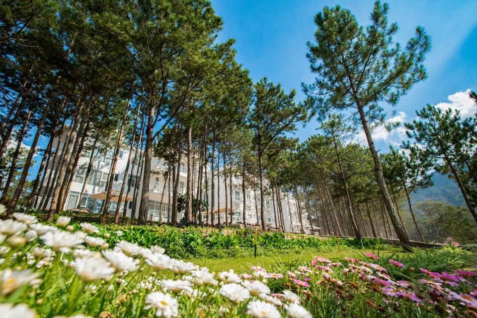 Natural landscape, Garden, View (from property/room)