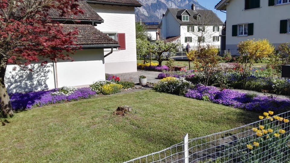 Property building, Natural landscape, Garden