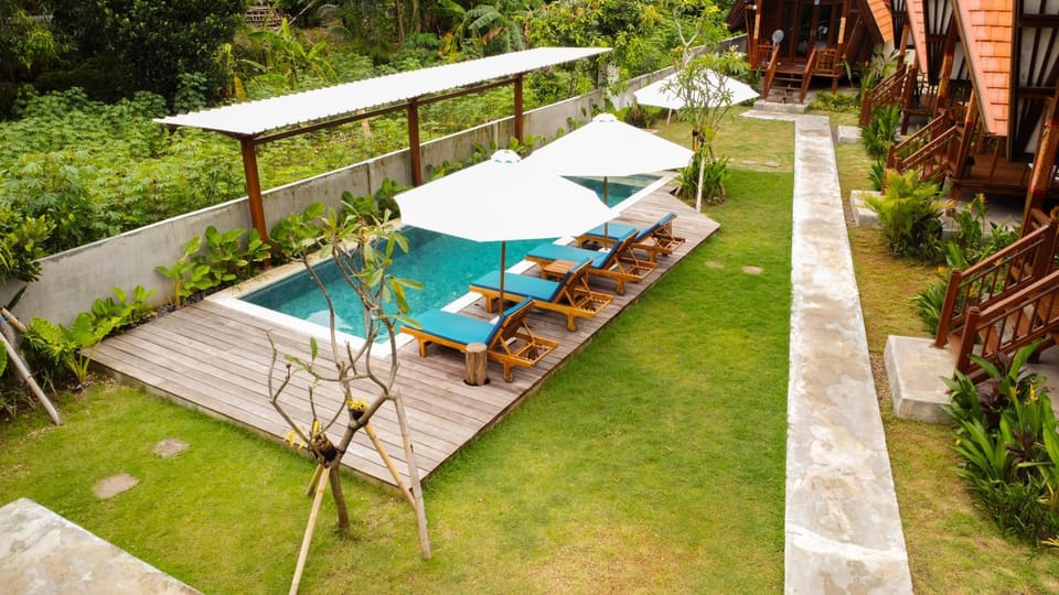 Garden, Garden view, Swimming pool, sunbed