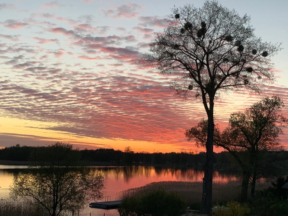 Lake view