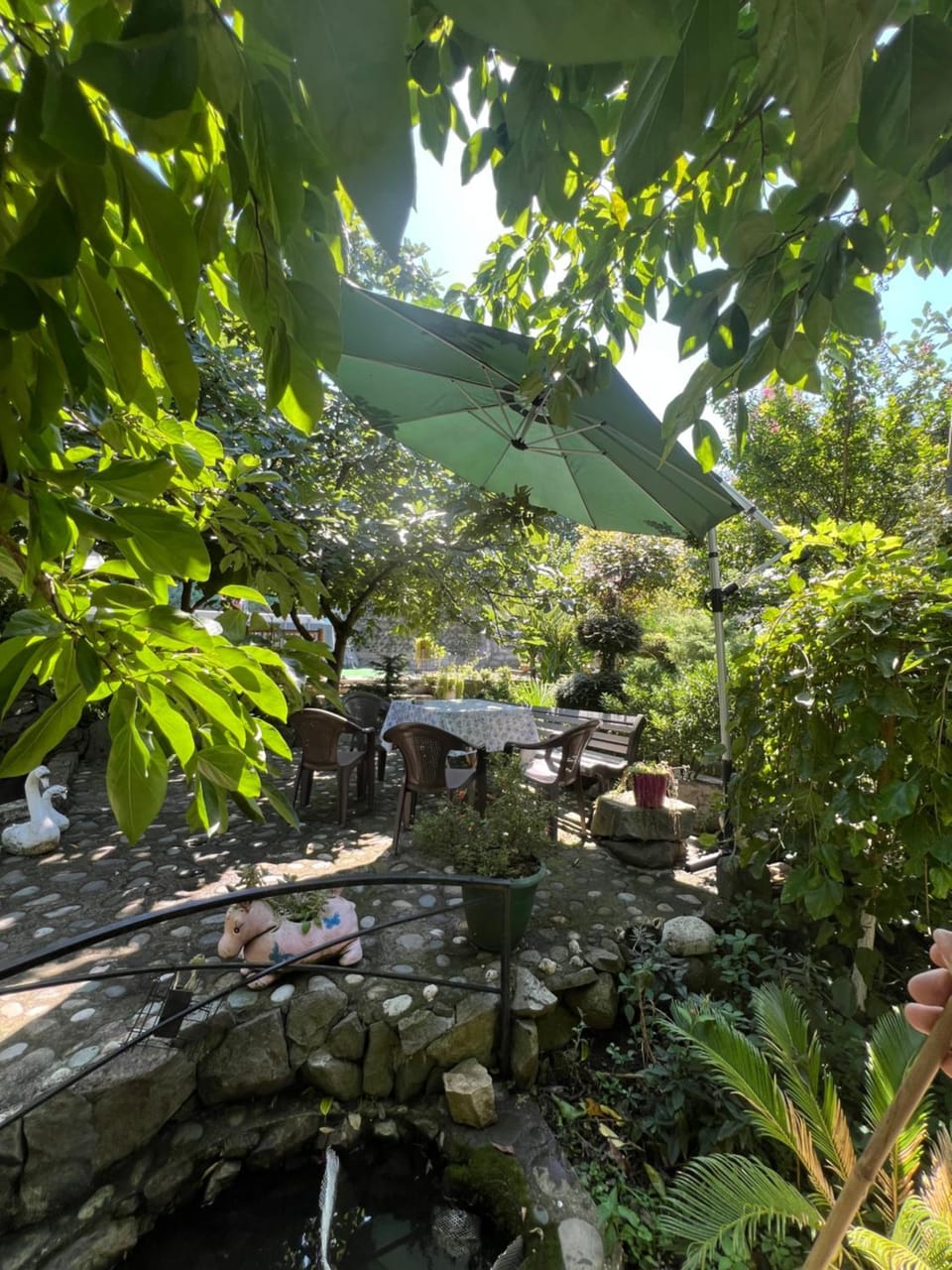 Holiday House Chkonia Bed and Breakfast in Batumi