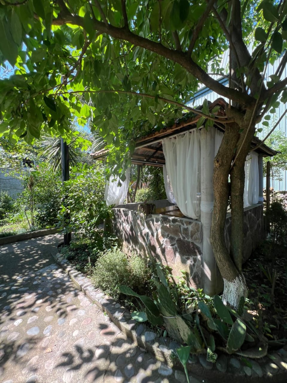 Holiday House Chkonia Bed and Breakfast in Batumi