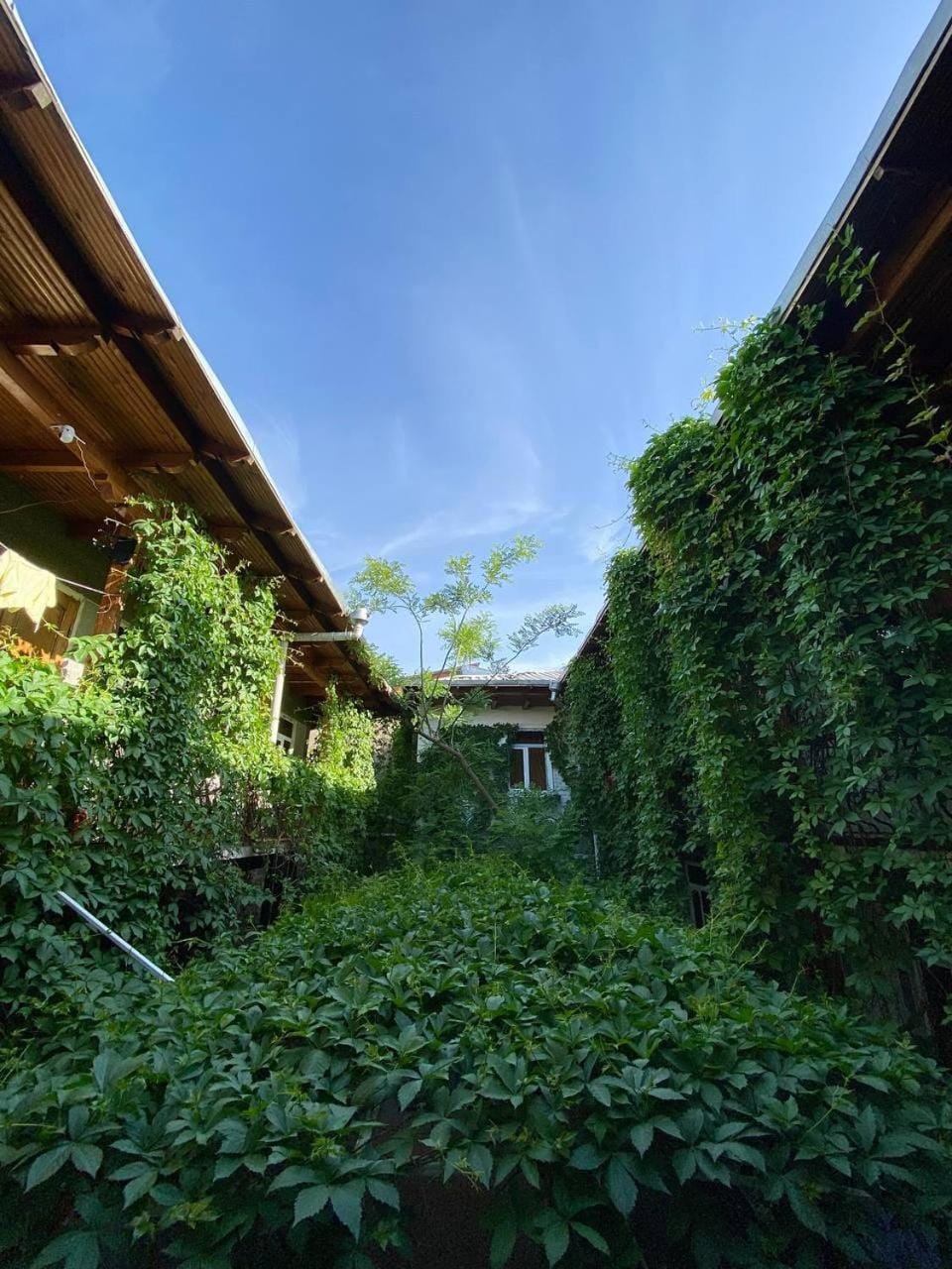 Hotel Rahmon Bed and Breakfast in Europe