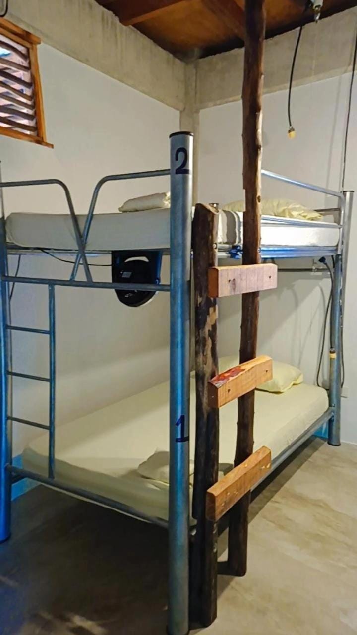 bunk bed