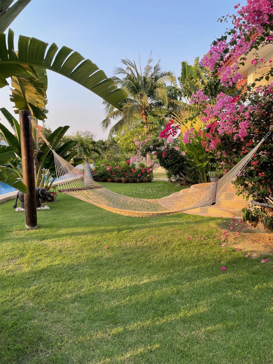 Garden view