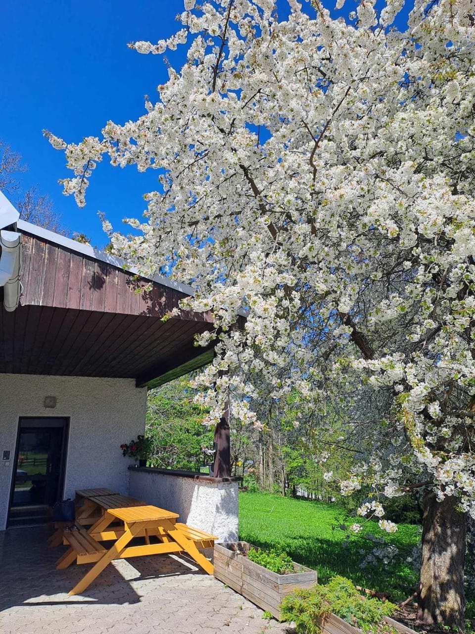 Spring