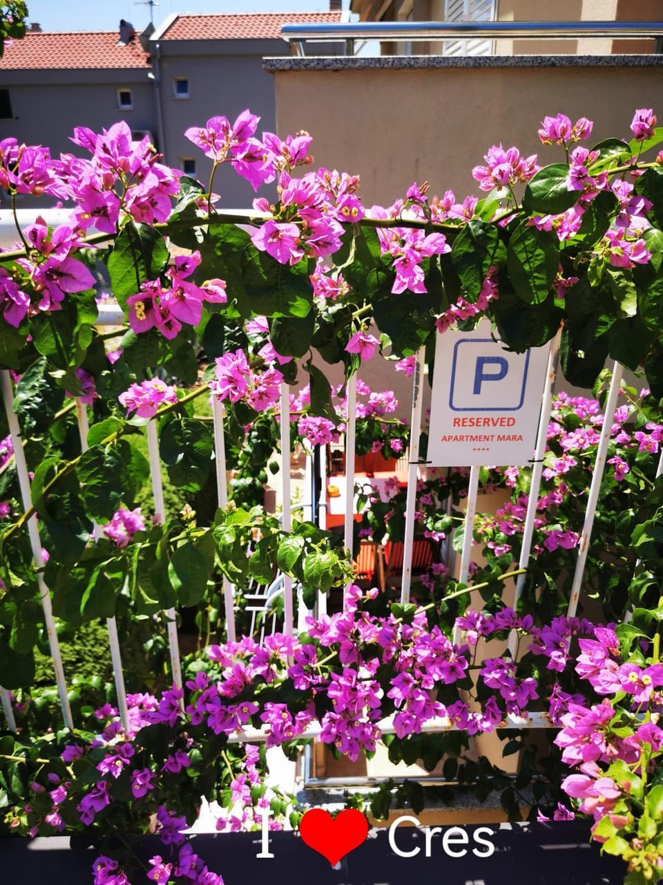 Logo/Certificate/Sign, Garden view, Parking