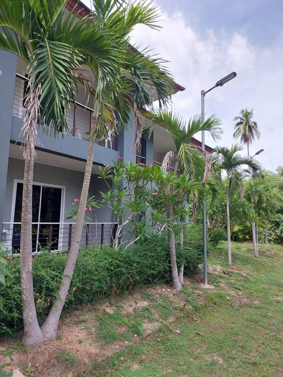 Property building, Day, Natural landscape, Garden, Garden view