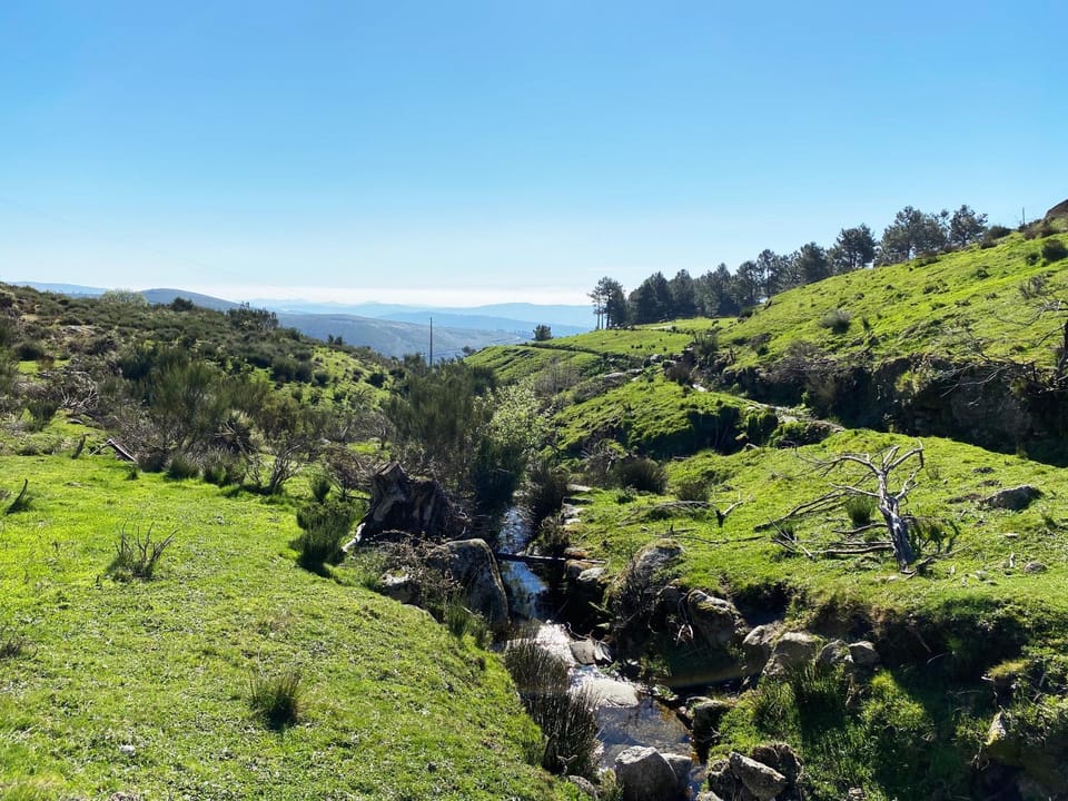 Natural landscape
