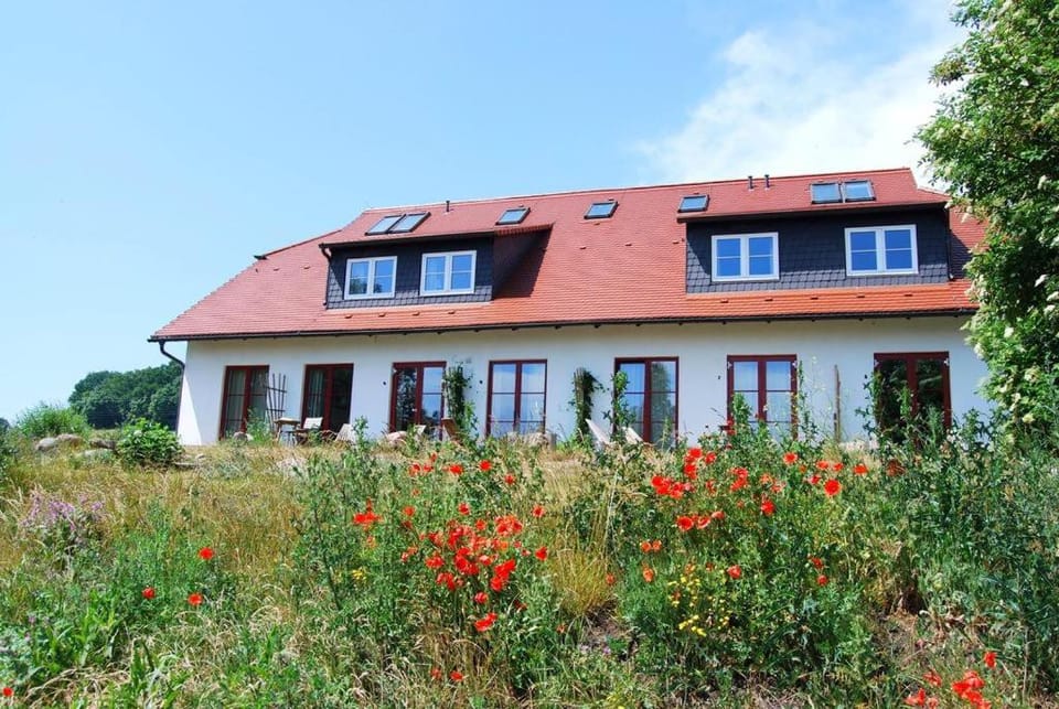 Facade/entrance, Garden