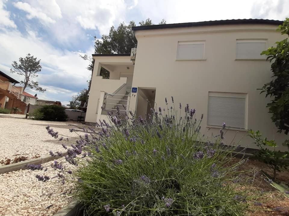 Apartman Bunarić Apartment in Zadar County
