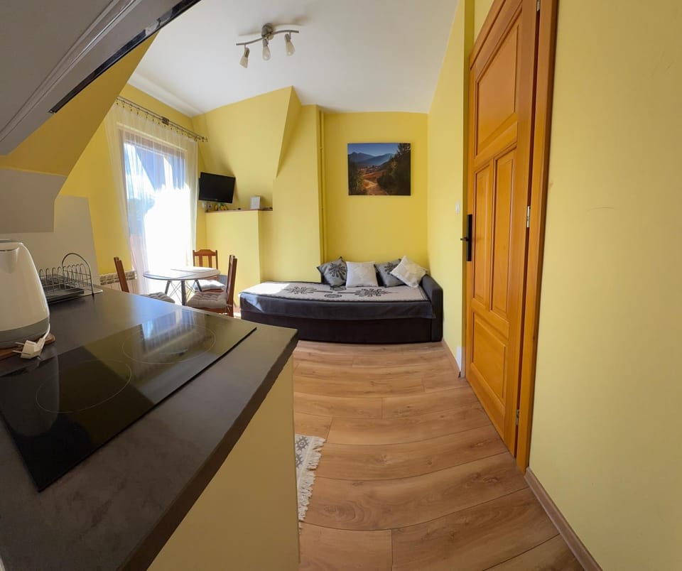 Apartamenty nad Potokiem Burliga Apartment in Zakopane