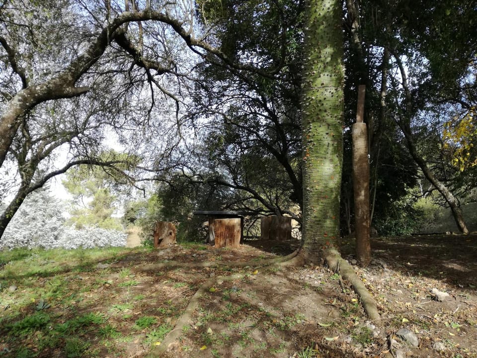 Natural landscape, Garden, Hiking