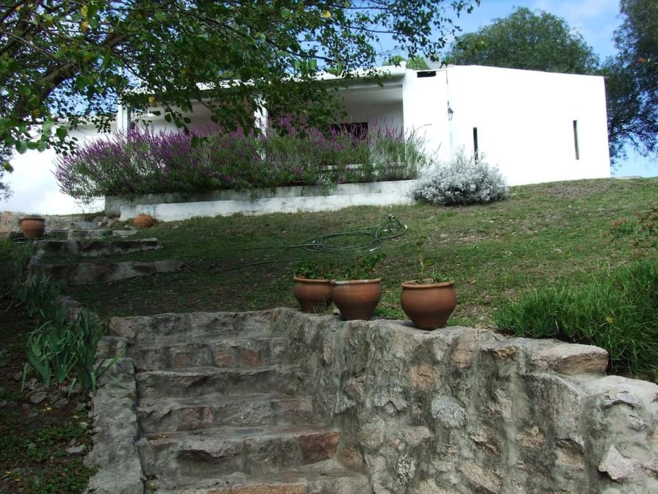 Property building, Patio, Garden