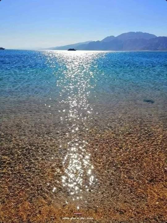 Half Moon - Sunny Dahab resort Apartment in South Sinai Governorate