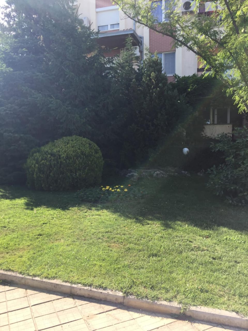 Studio Danaya 2 Apartment in Varna