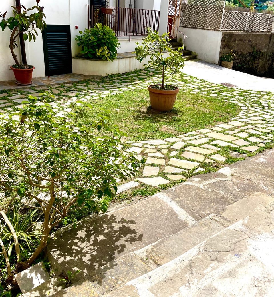 Spring, Day, Garden, Garden view