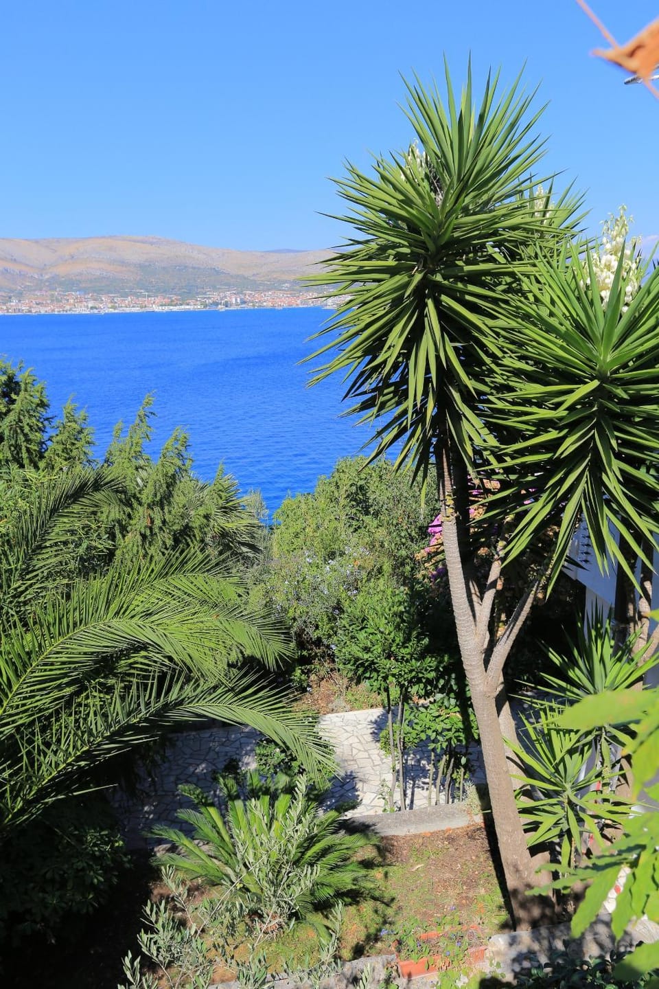 Location, children, Family