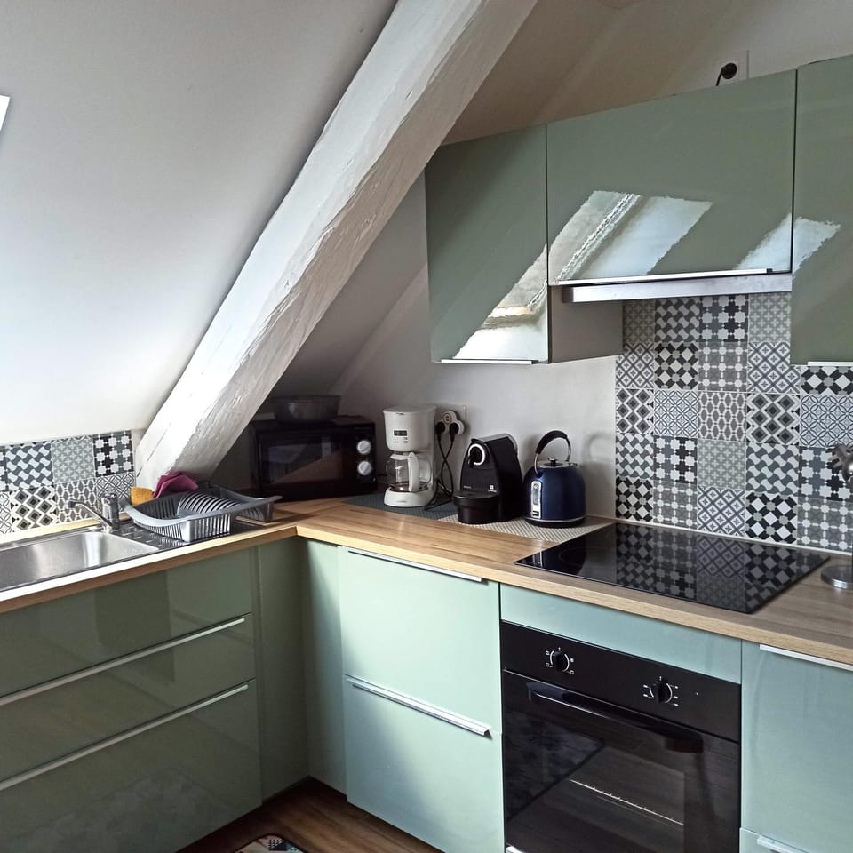 Coffee/tea facilities, Kitchen or kitchenette, minibar, pet friendly, stove, toaster