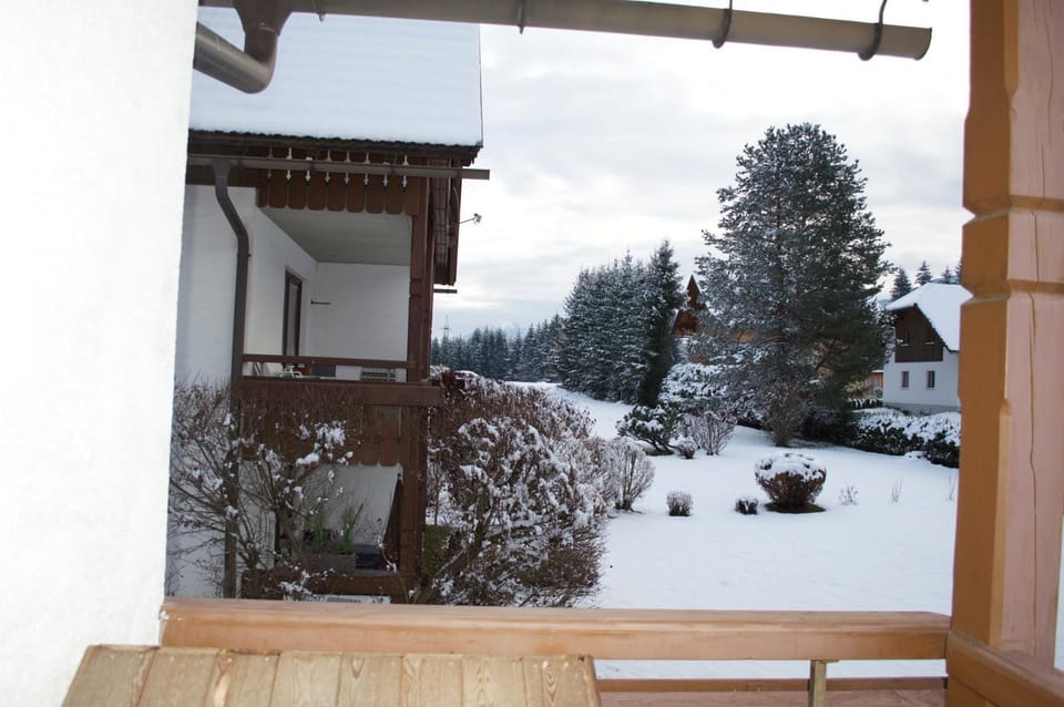 Winter, Garden view