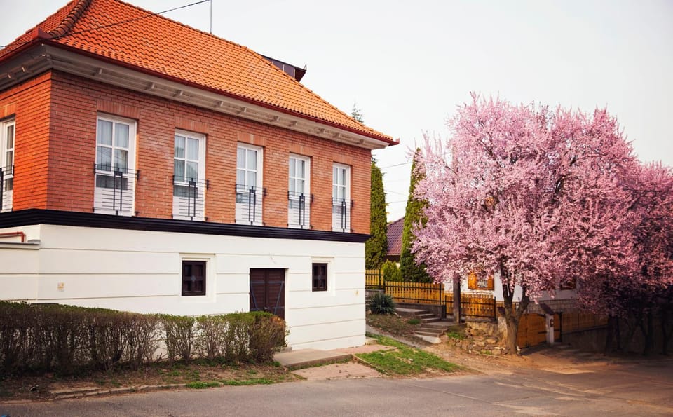 Antalóczy Winery&Apartments Apartment in Slovakia