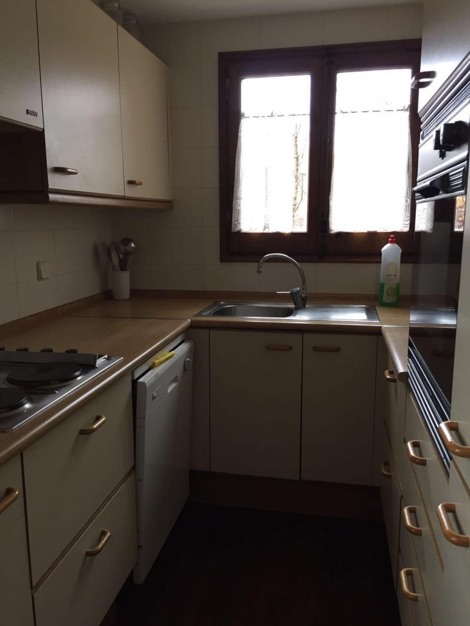 Kitchen or kitchenette, dishwasher, stove