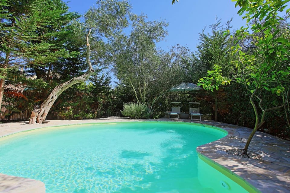 Garden, Other, Swimming pool