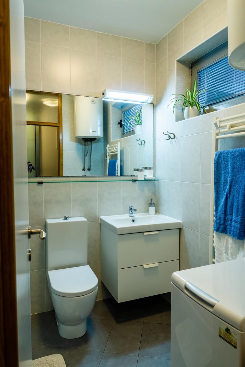 APP - 1 Apartment in Novigrad