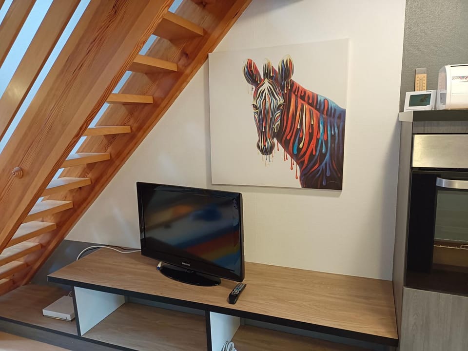 TV and multimedia
