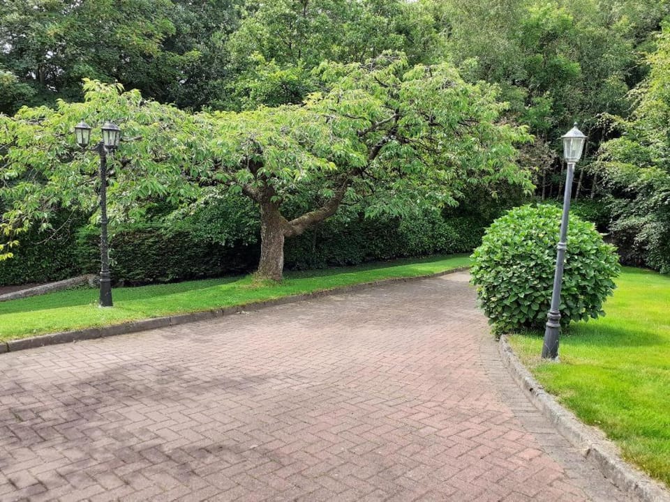 Torrent Cottage House in Northern Ireland