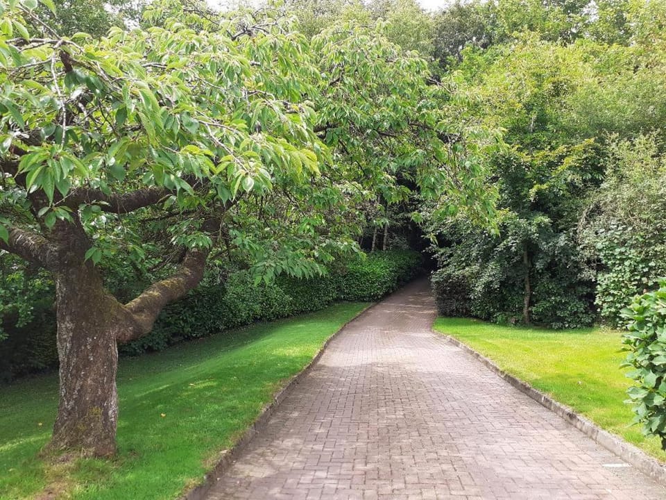 Torrent Cottage House in Northern Ireland