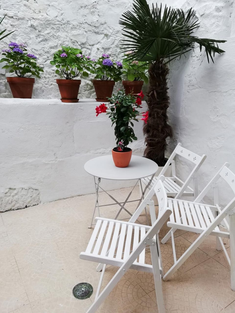 Inner courtyard view